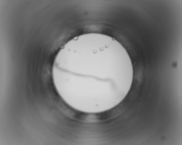 X0000113150518200910161223