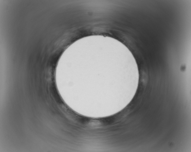 X0000113150519200910161223