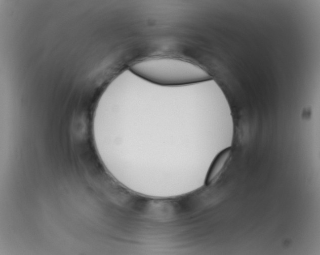 X0000113150520200910161223