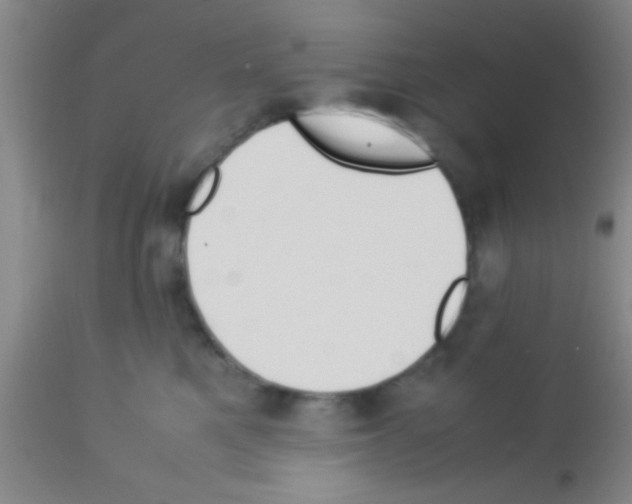 X0000113150521200910161223