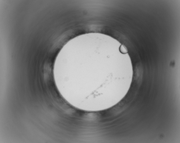 X0000113150522200910161223