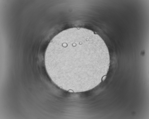 X0000113150523200910161223