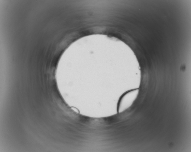 X0000113150525200910161223