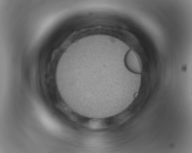 X0000113150526200910161223