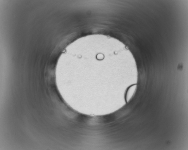 X0000113150527200910161223