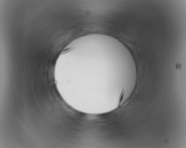 X0000113150528200910161223