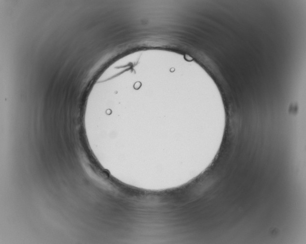 X0000113150530200910161223