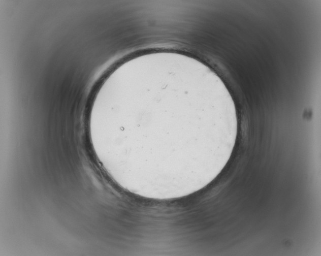 X0000113150532200910161223