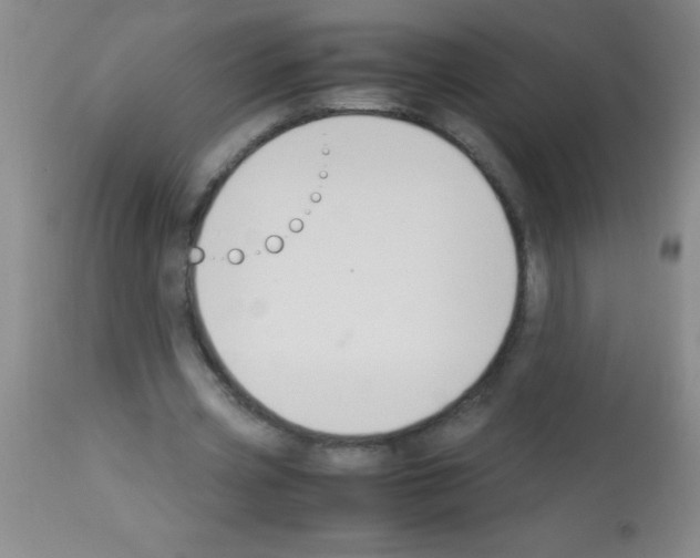 X0000113150533200910161223