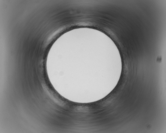 X0000113150535200910161223