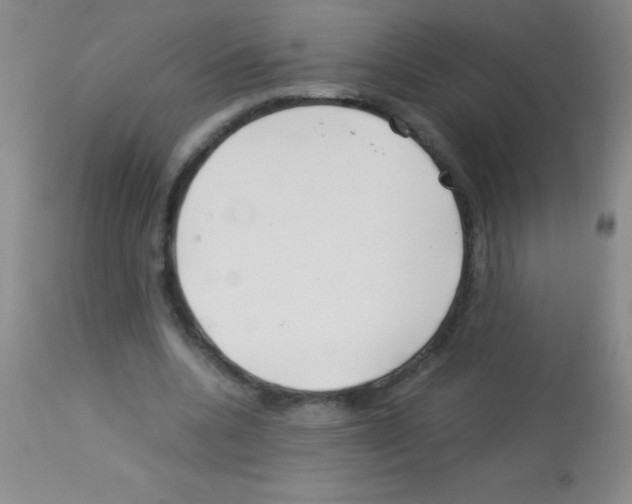 X0000113150536200910161223