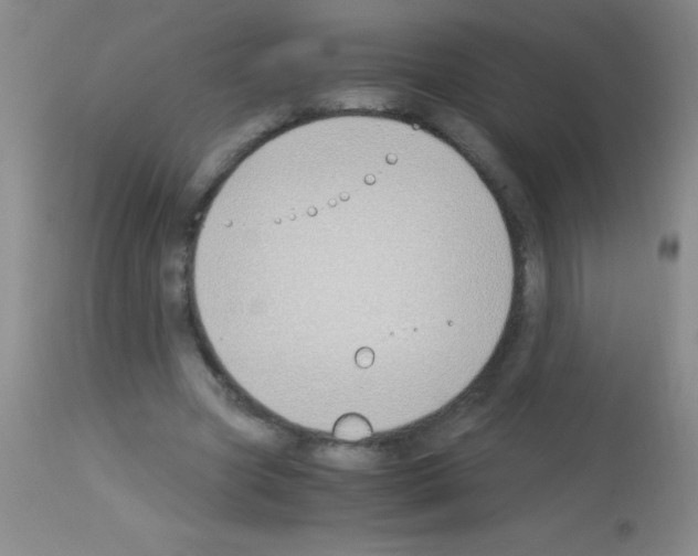 X0000113150537200910161223