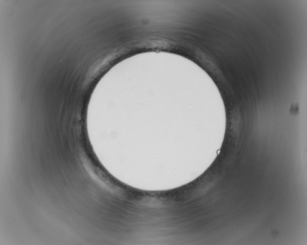 X0000113150538200910161223