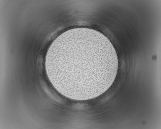 X0000113150542200910161223