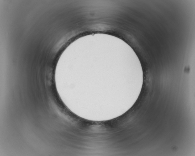 X0000113150544200910161223