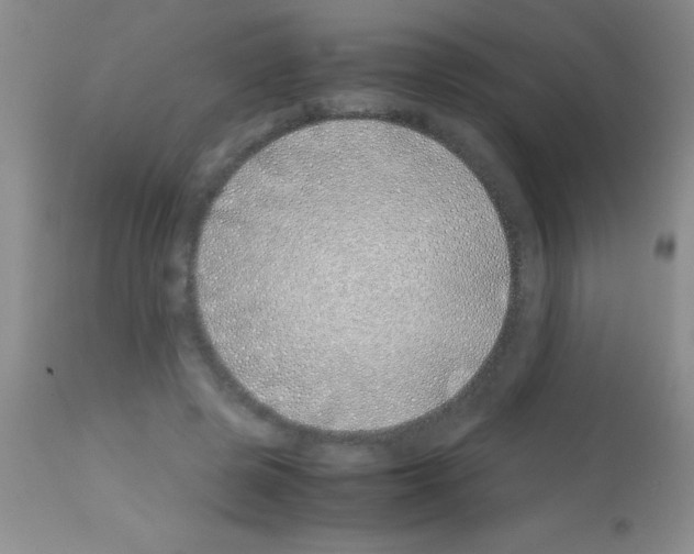 X0000113150545200910161223