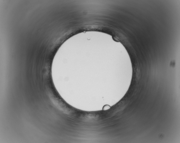 X0000113150546200910161223