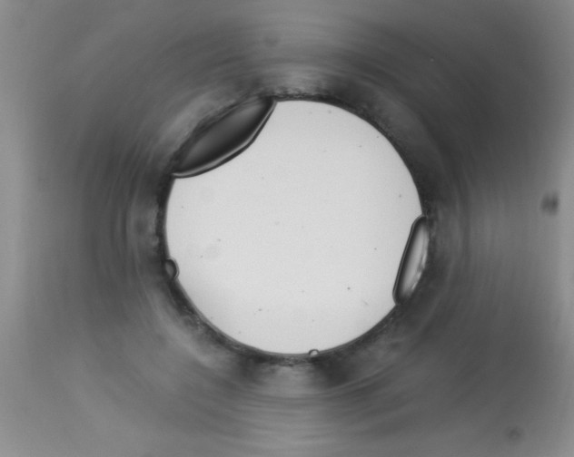 X0000113150548200910161223