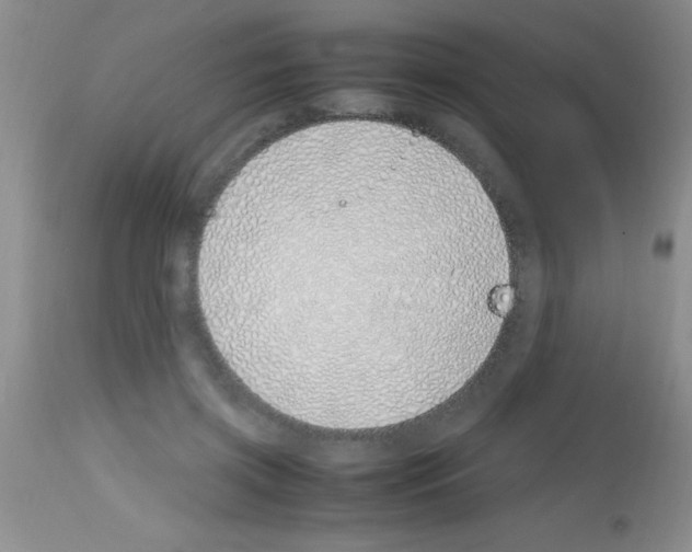 X0000113150549200910161223