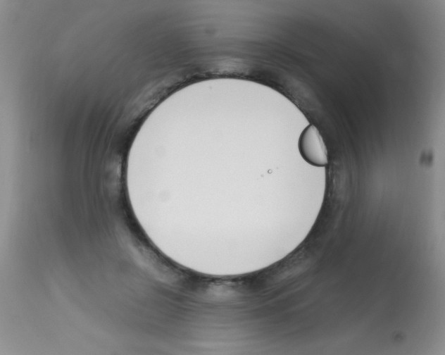 X0000113150550200910161223