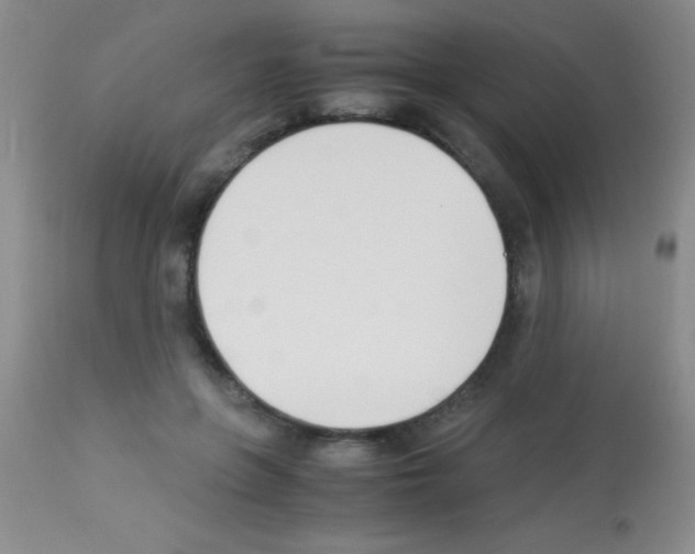 X0000113150551200910161223