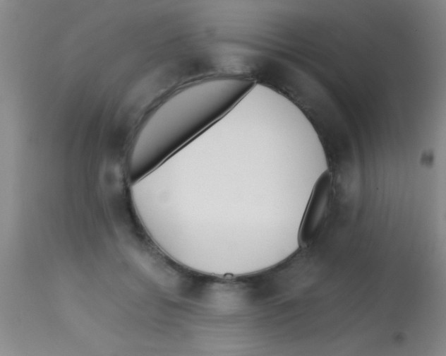 X0000113150556200910161223