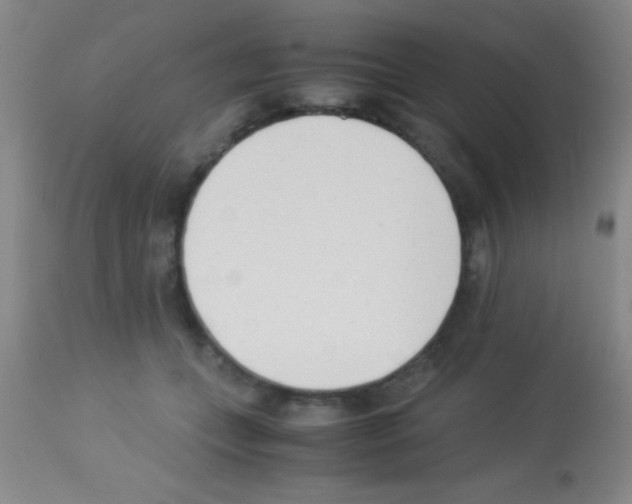 X0000113150559200910161223