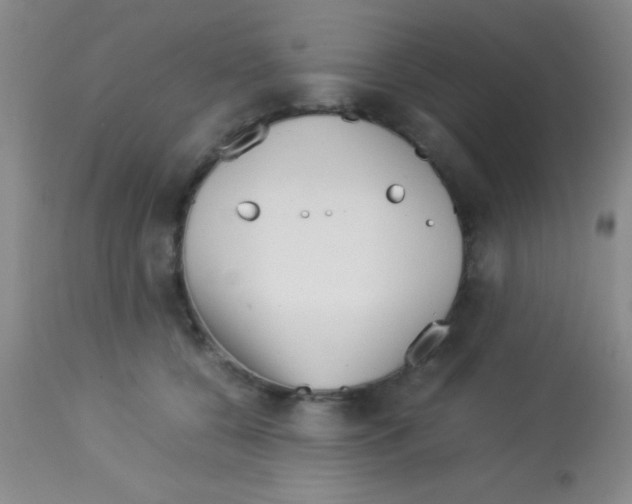 X0000113150560200910161223