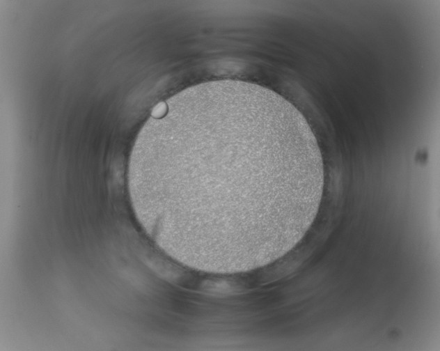 X0000113150561200910161223