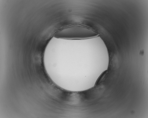 X0000113150562200910161223