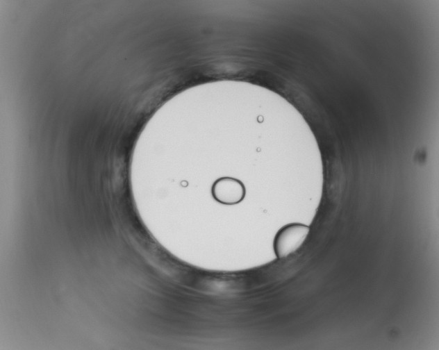 X0000113150563200910161223