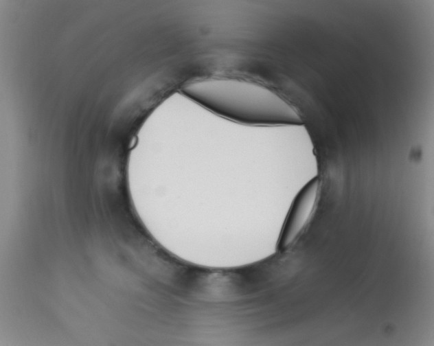 X0000113150566200910161223