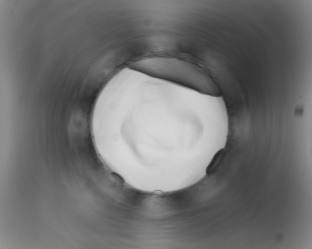 X0000113150568200910161223