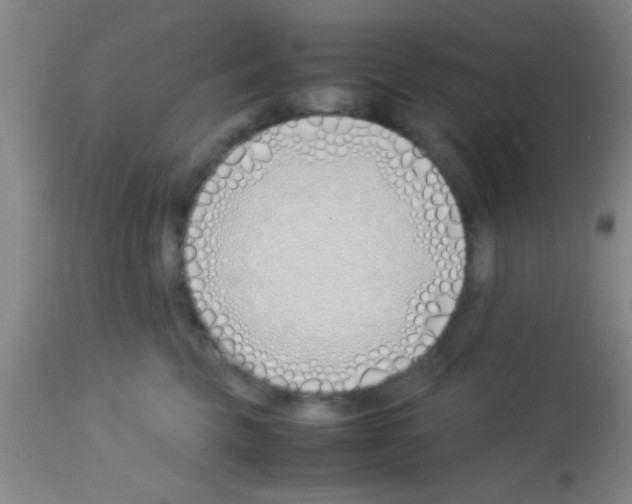 X0000113150569200910161223