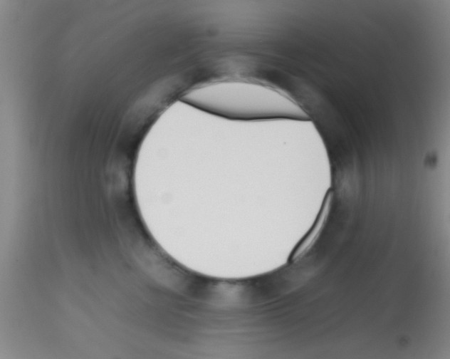 X0000113150570200910161223