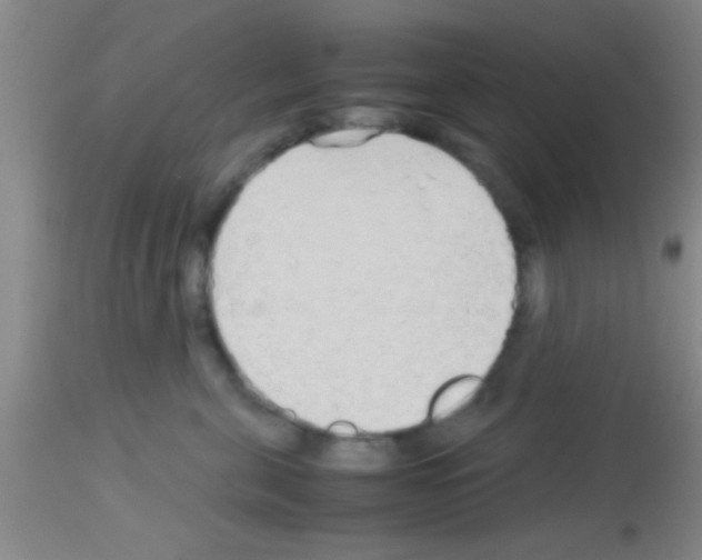 X0000113150571200910161223