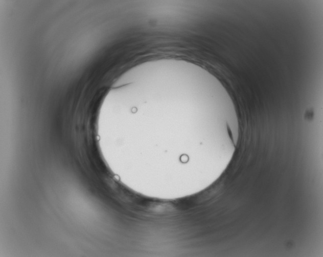 X0000113150572200910161223