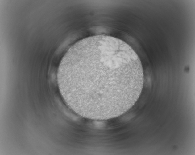 X0000113150573200910161223