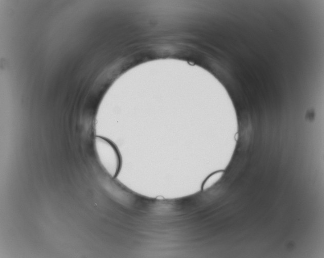 X0000113150574200910161223