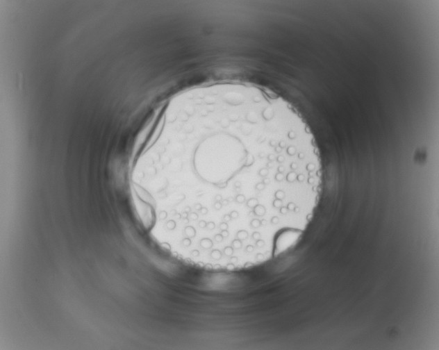 X0000113150575200910161223