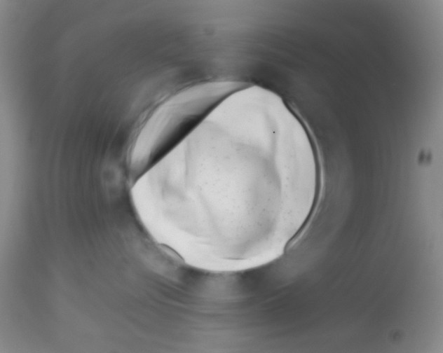 X0000113150576200910161223