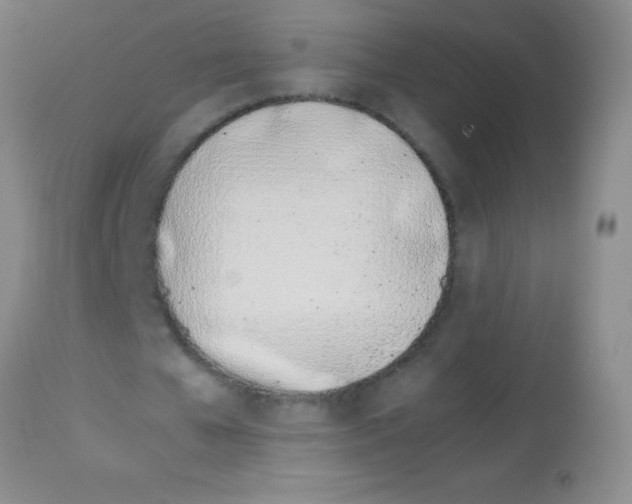 X0000113150577200910161222