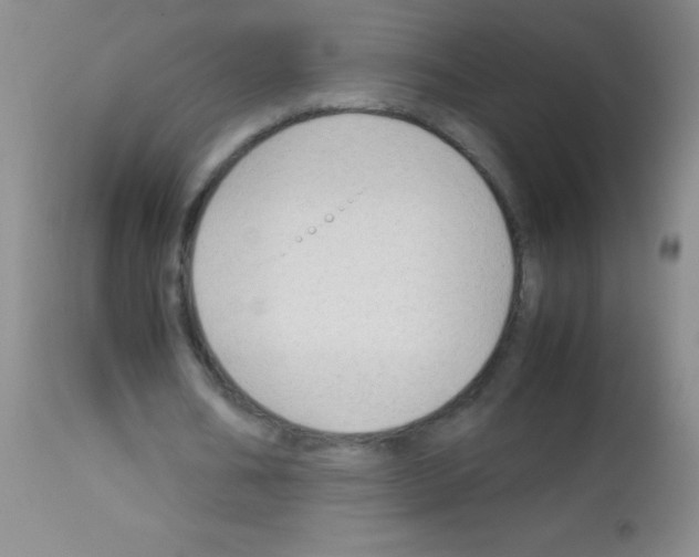 X0000113150578200910161222