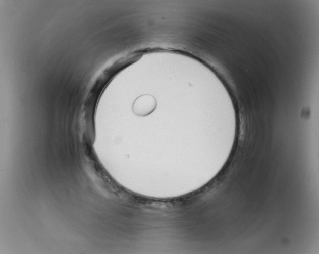 X0000113150580200910161222