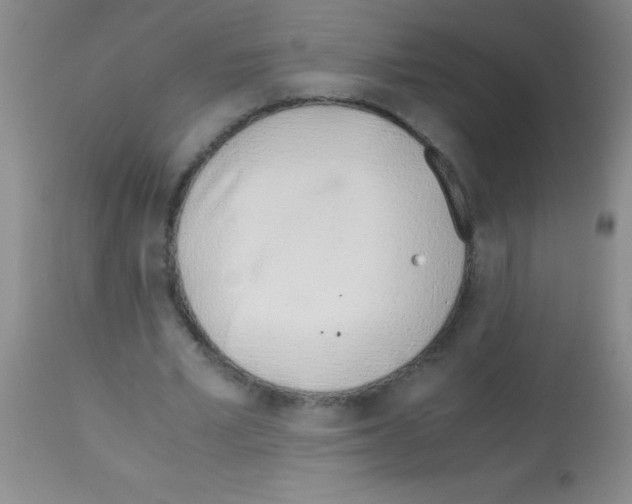 X0000113150581200910161222