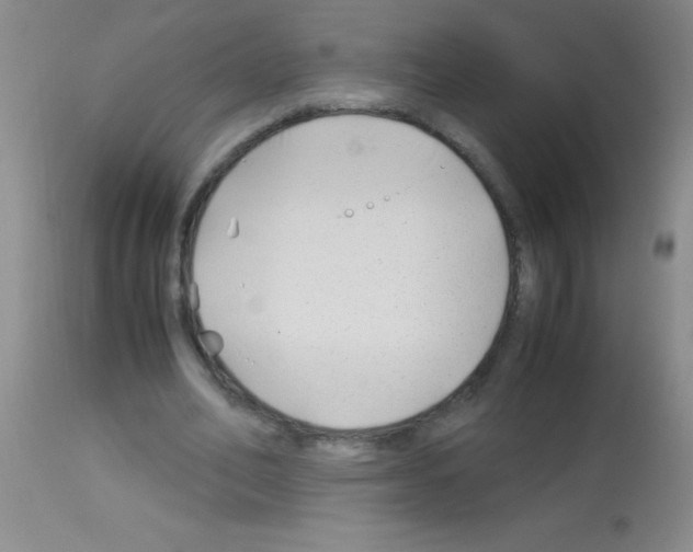 X0000113150582200910161222