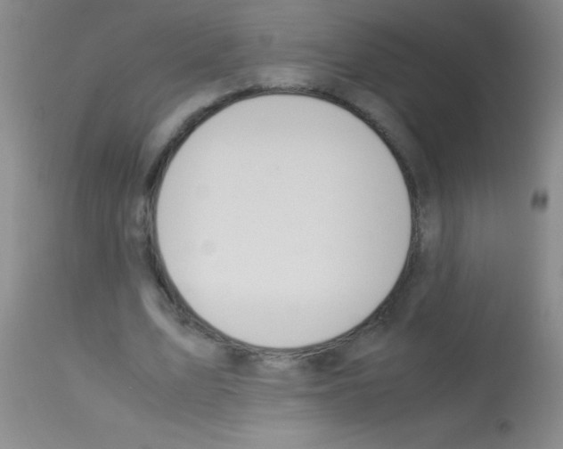 X0000113150583200910161222