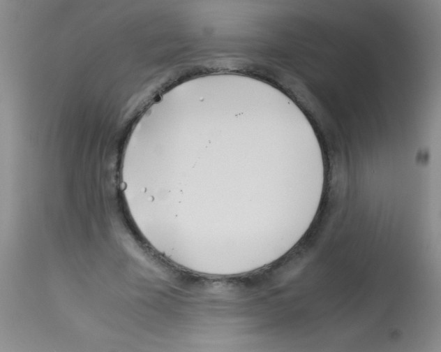 X0000113150585200910161222