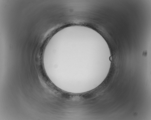 X0000113150587200910161222