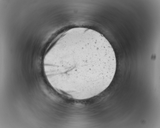 X0000113150592200910161222